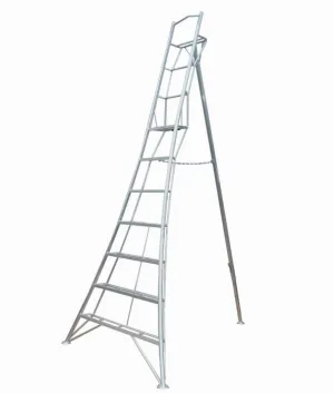 10' Platform Tripod Ladder